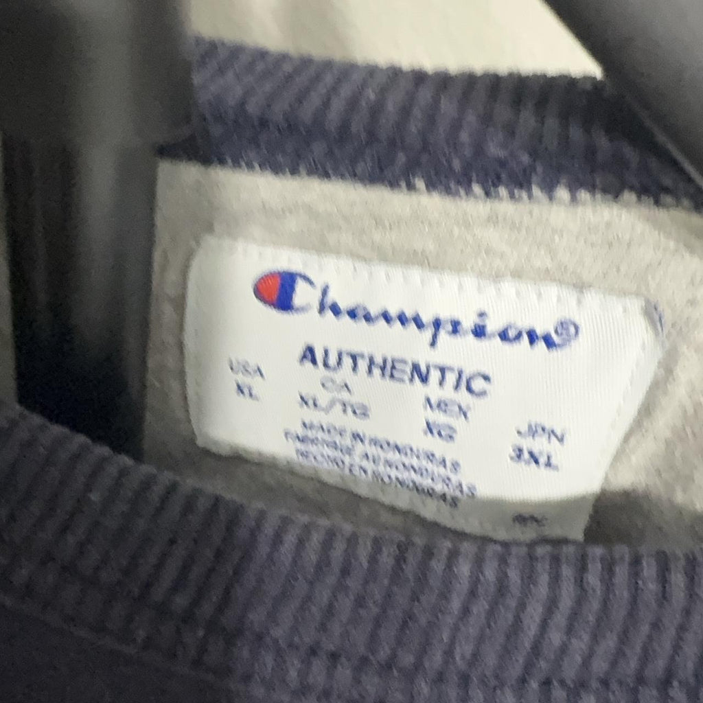 Y2K Champion Navy and Blue hoodie – Women's Used Clothing