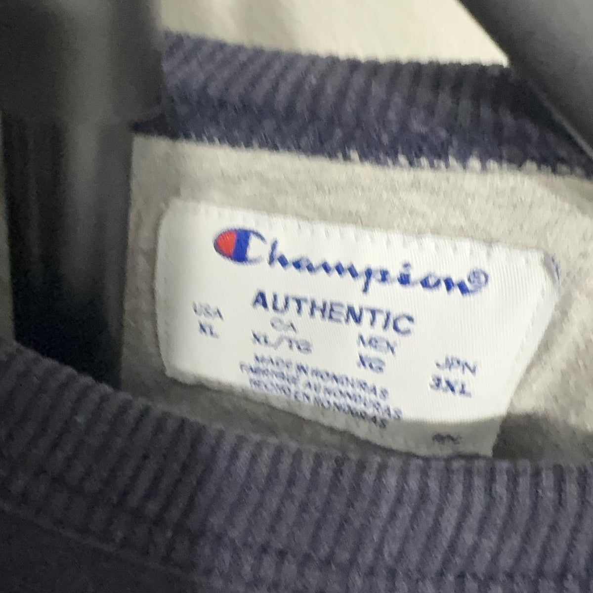 Y2K Champion Navy and Blue hoodie – Women's Used Clothing